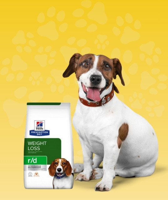 Pet shop Buvara Novi Beograd Zarkovo