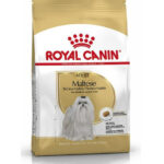 Royal Canin maltese 0,5kg Briketi za pse