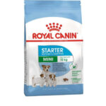 Royal Canin Mini Starter 1kg Briketi za pse